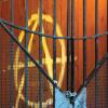 anarchy-behind-bars